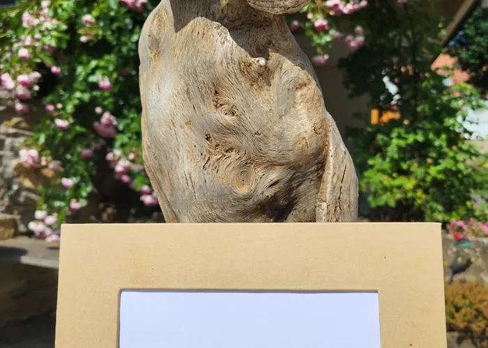 Eulennest Nassau ヴァイカースハイム